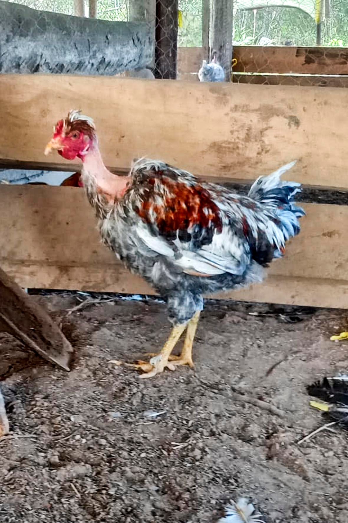 WhatsApp Image 2025-04-03 at 7.35.02 PM copia.jpg